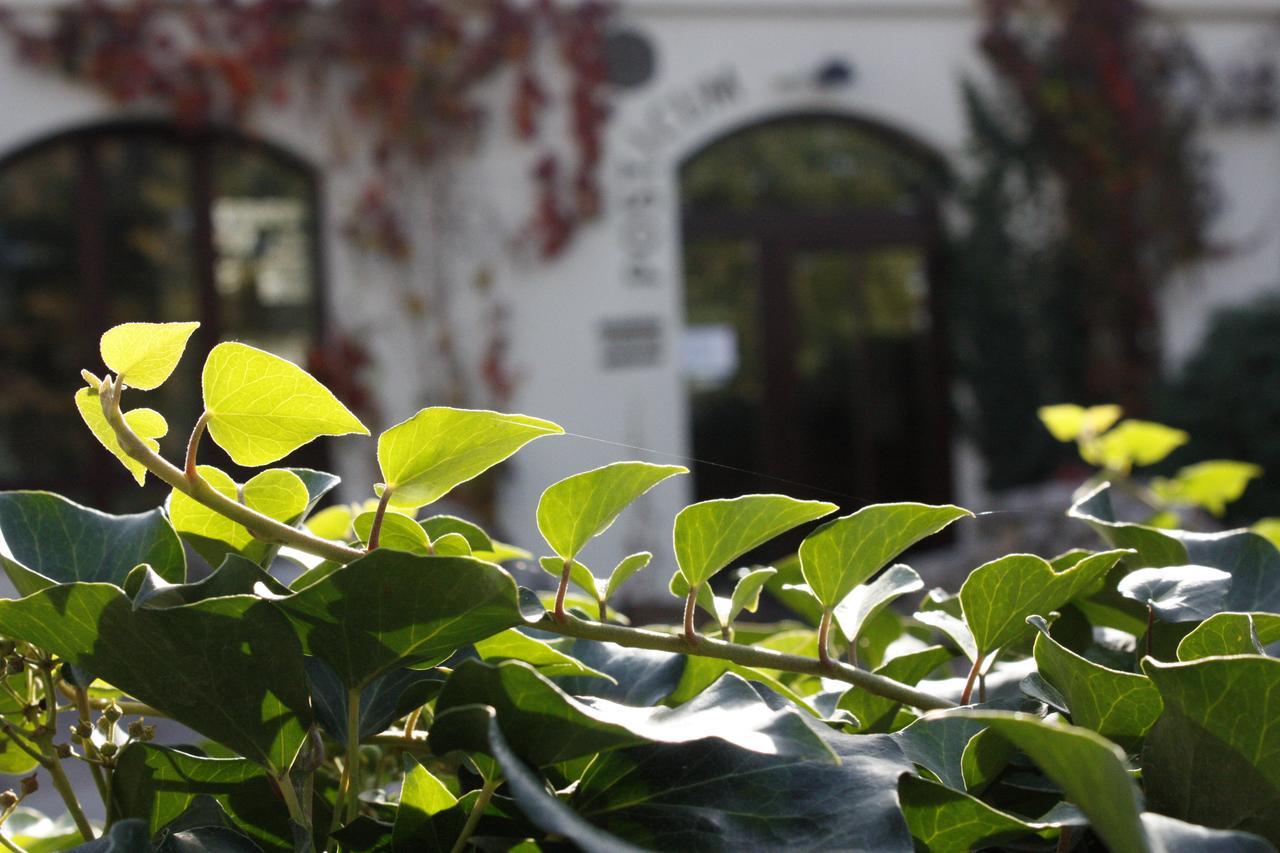 The Zen Hotel - Posticum Oradea Luaran gambar